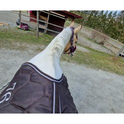 Stalldekken 300g brun