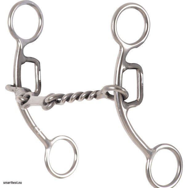 Carol Goostree Delight shank gag barrel bit with twisted wire Dr. Bristol