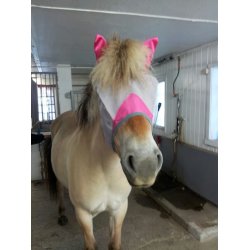 Fargede fluemasker med rer