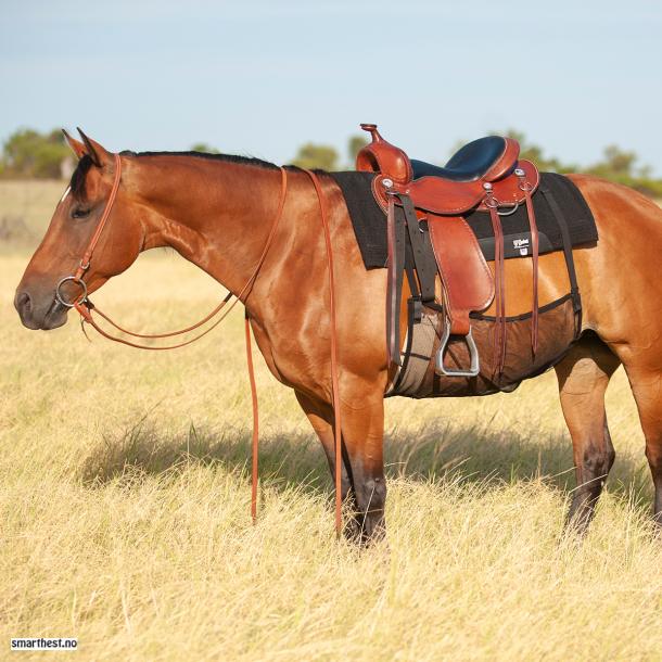 Quiet ride belly guard