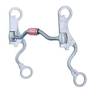 Francois Gauthier show futurity bitt