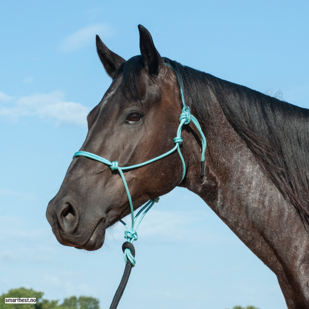 Horsemanship taugrime med leietau