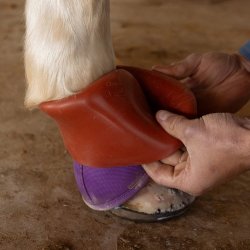 Shoeguard rubber boot pull on bell boot