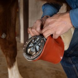 Shoeguard rubber boot pull on bell boot