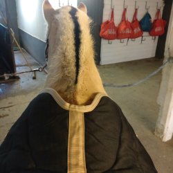 Fonck svart stalldekken Indiana 240g