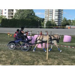 Legacy2 boots frontbelegg