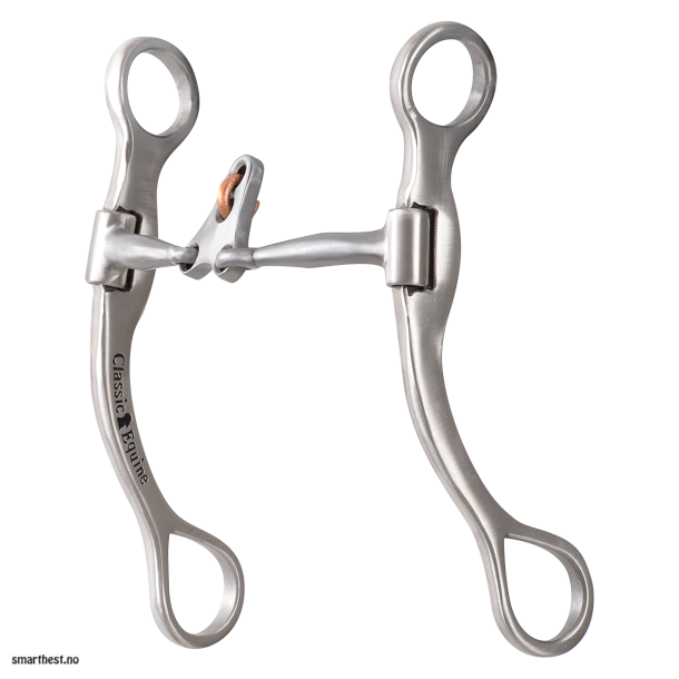 Straight shank bit