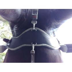 Total Saddle Fit balance buckle svart westerngjord i lr