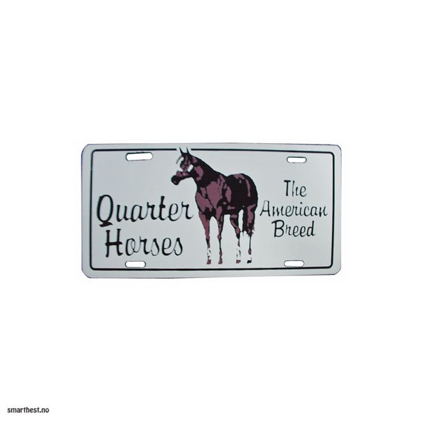 Skilt Quarter horse