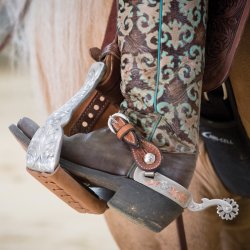 Graverte show stigbyler