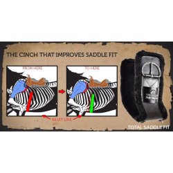 Total Saddle Fit balance buckle brun westerngjord i lr