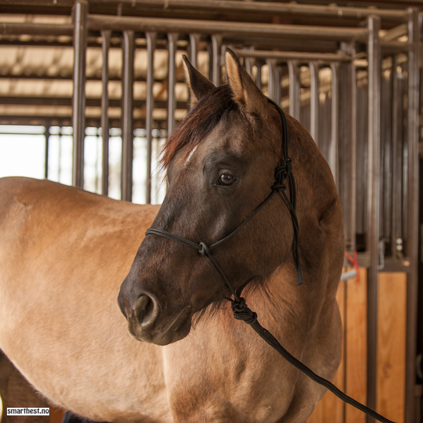 Horsemanship taugrime med leietau str liten cob