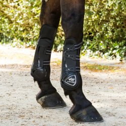 Tendon boots V22 Knee