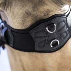 COWBOY TACK V22 ProMotion