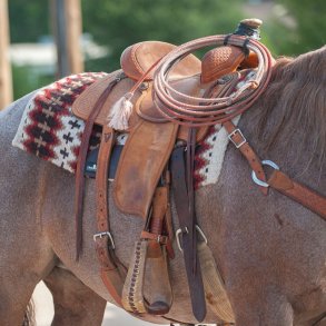 Westernutstyr - div grener